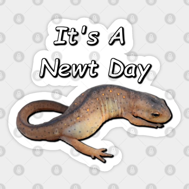 "It's A Newt Day" Central Newt Sticker by Paul Prints